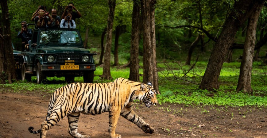Pench National Park The National Parks Of India